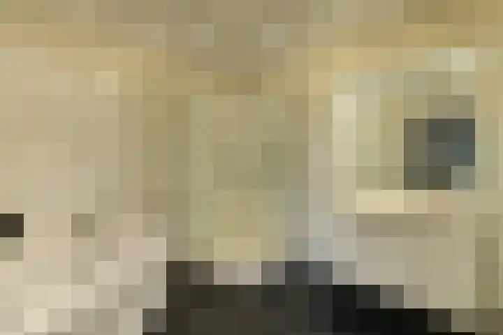 van Aldenburglaan 2 Doorwerth thumbnail 28