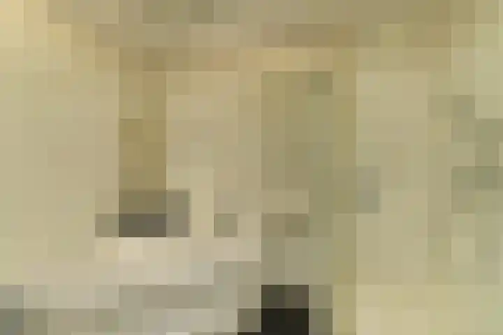 van Aldenburglaan 2 Doorwerth thumbnail 29