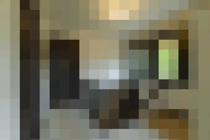 van Aldenburglaan 2 Doorwerth thumbnail 35