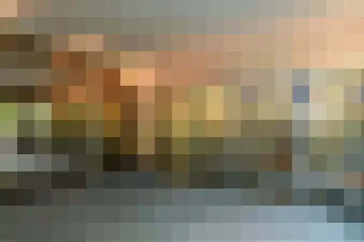 van Aldenburglaan 2 Doorwerth thumbnail 39