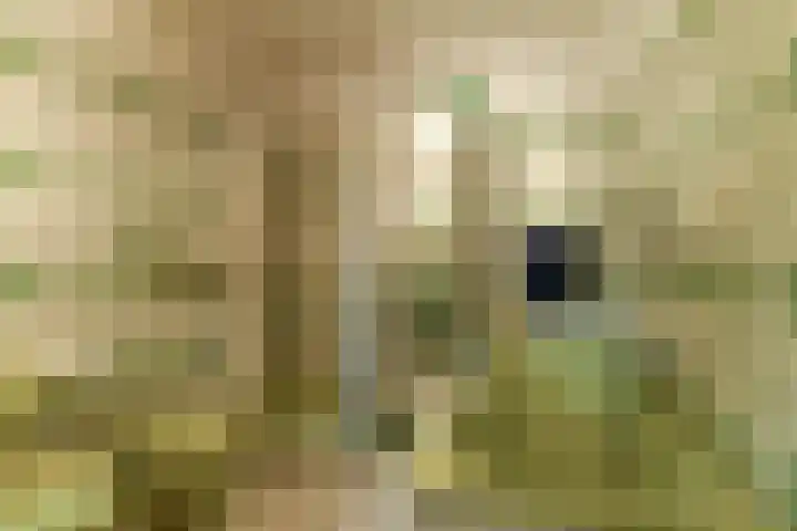 van Aldenburglaan 2 Doorwerth thumbnail 42