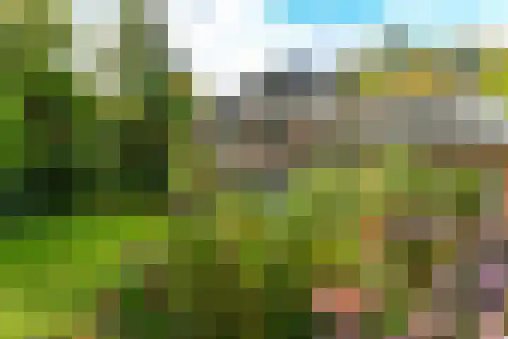 van Aldenburglaan 2 Doorwerth thumbnail 54