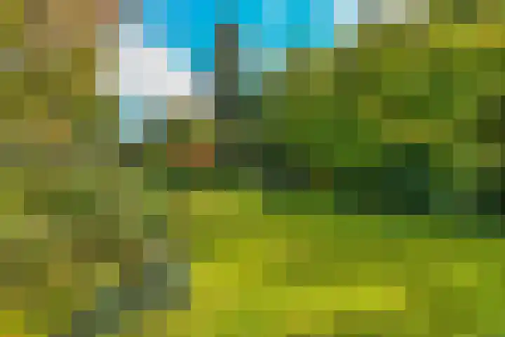 van Aldenburglaan 2 Doorwerth thumbnail 55