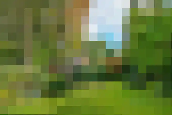 van Aldenburglaan 2 Doorwerth thumbnail 56