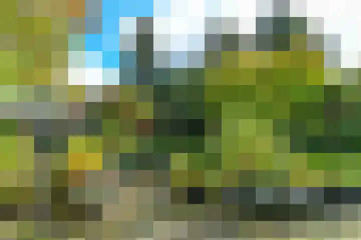 van Aldenburglaan 2 Doorwerth thumbnail 58