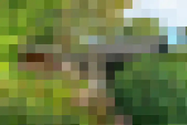 van Aldenburglaan 2 Doorwerth thumbnail 59