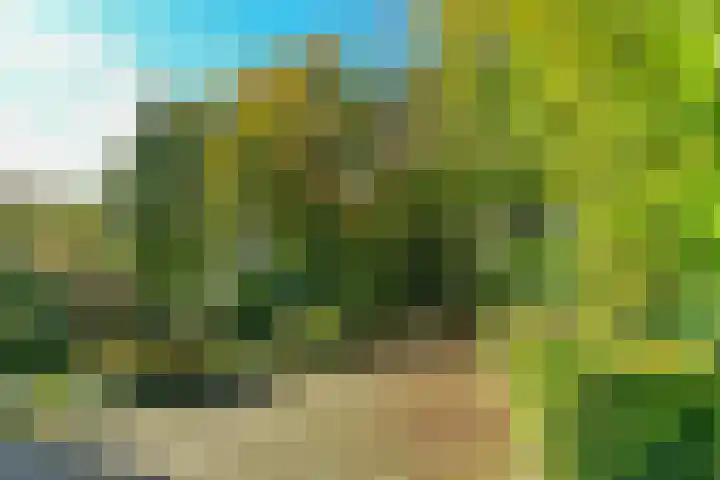 van Aldenburglaan 2 Doorwerth thumbnail 6