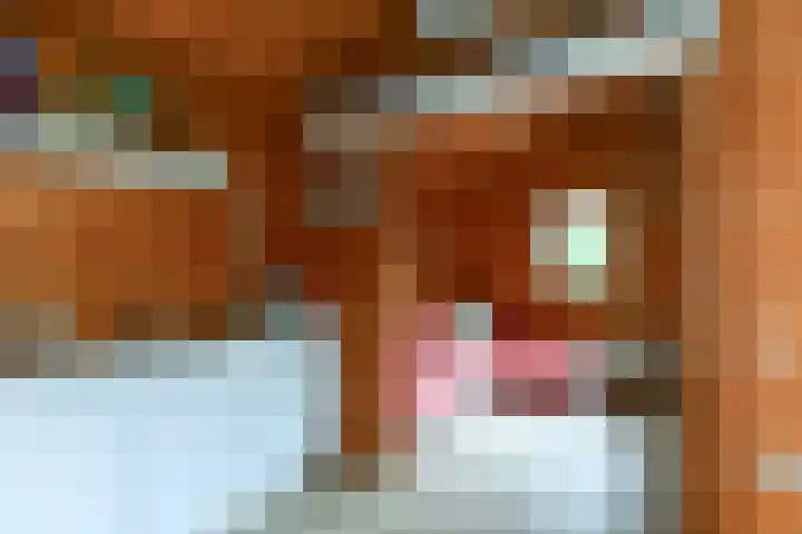 van Aldenburglaan 2 Doorwerth thumbnail 61