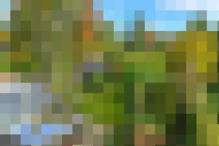 van Aldenburglaan 2 Doorwerth thumbnail 63
