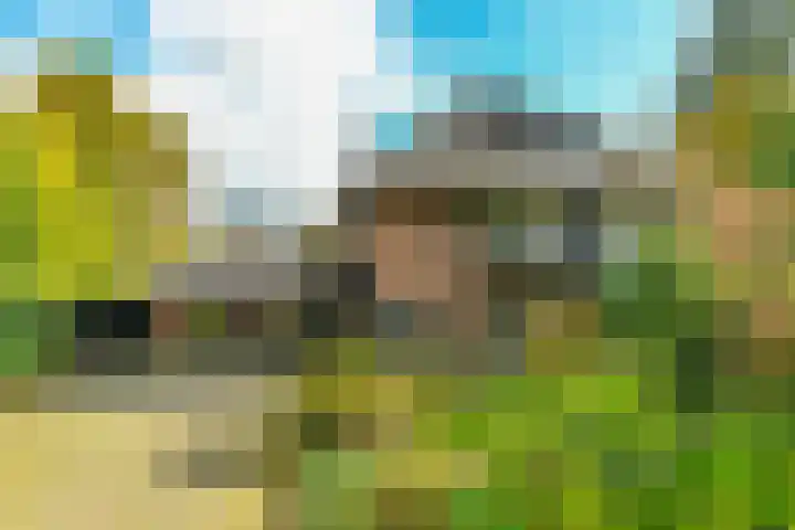 van Aldenburglaan 2 Doorwerth thumbnail 65