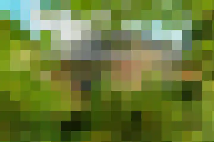 van Aldenburglaan 2 Doorwerth thumbnail 66