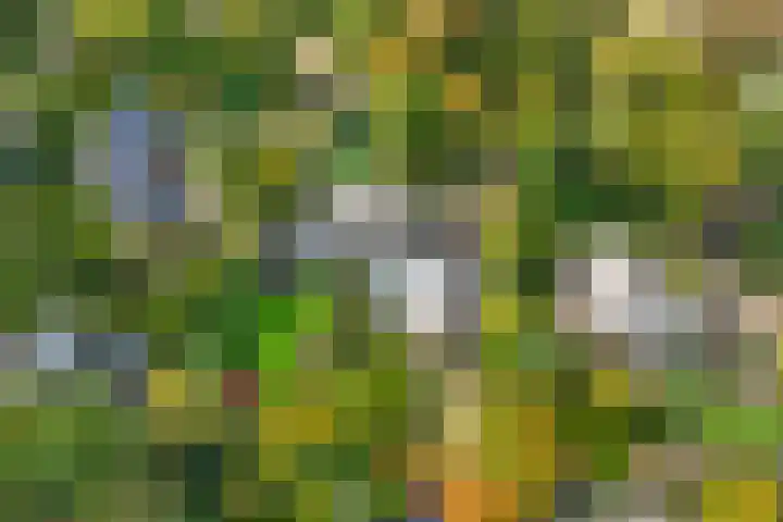 van Aldenburglaan 2 Doorwerth thumbnail 67