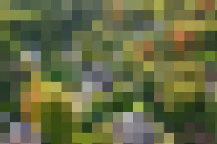 van Aldenburglaan 2 Doorwerth thumbnail 68