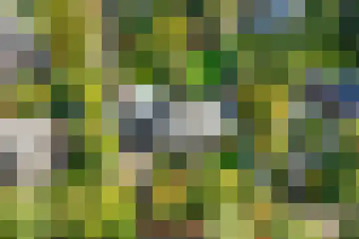 van Aldenburglaan 2 Doorwerth thumbnail 69