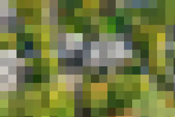 van Aldenburglaan 2 Doorwerth thumbnail 70
