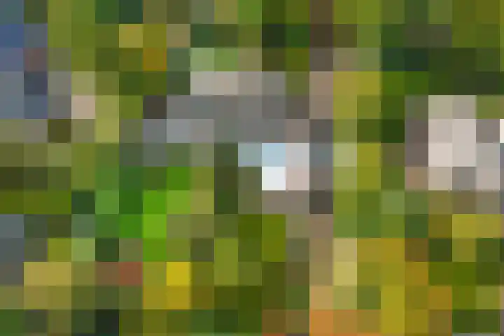 van Aldenburglaan 2 Doorwerth thumbnail 71