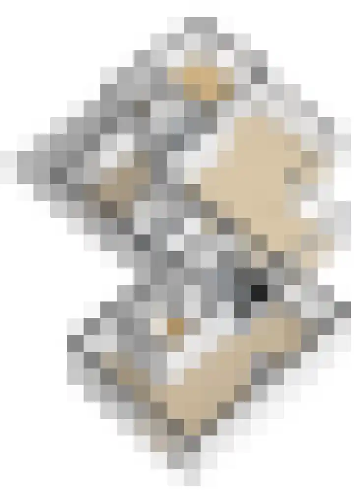 van Aldenburglaan 2 Doorwerth thumbnail 73