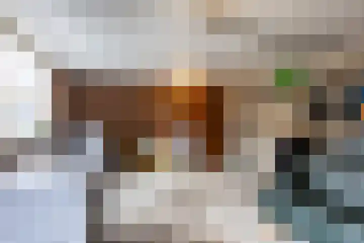 Van Aldeneyckstraat 18 Hilvarenbeek thumbnail 30