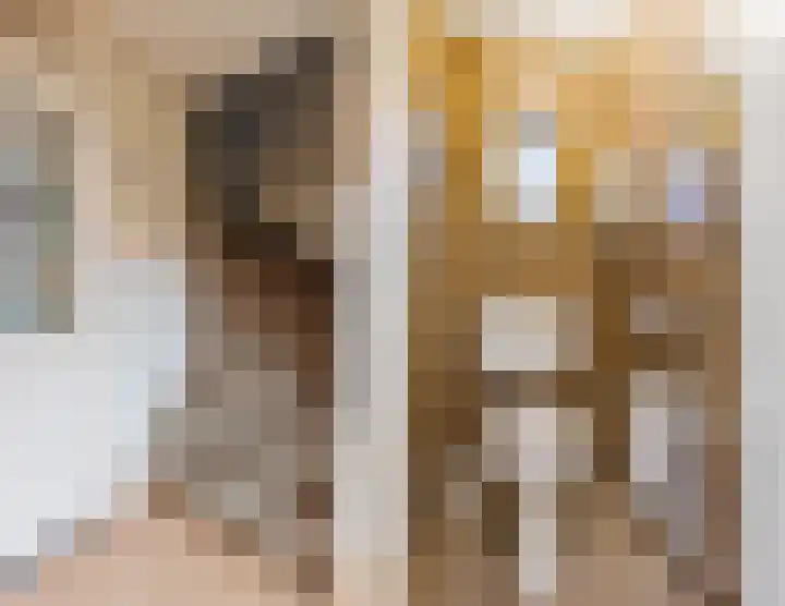 Van Aldeneyckstraat 18 Hilvarenbeek thumbnail 6