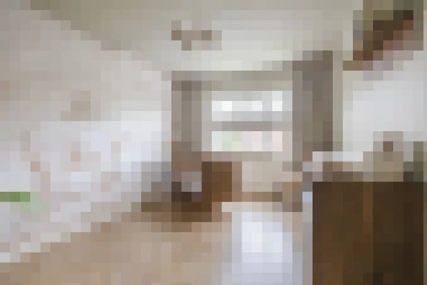 van Alewijkstraat 2 h Beerzerveld thumbnail 21