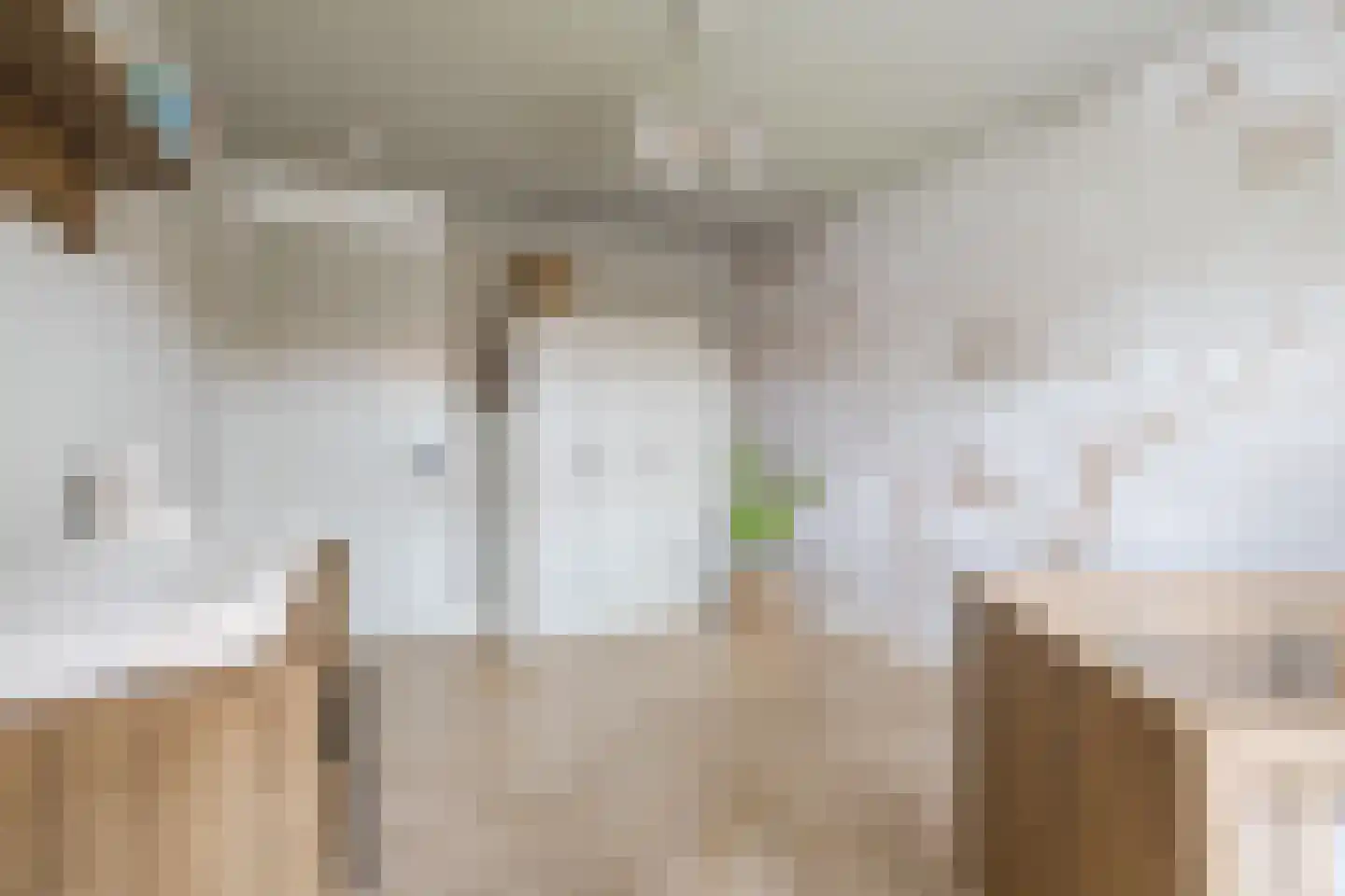 van Alewijkstraat 2 h Beerzerveld thumbnail 23