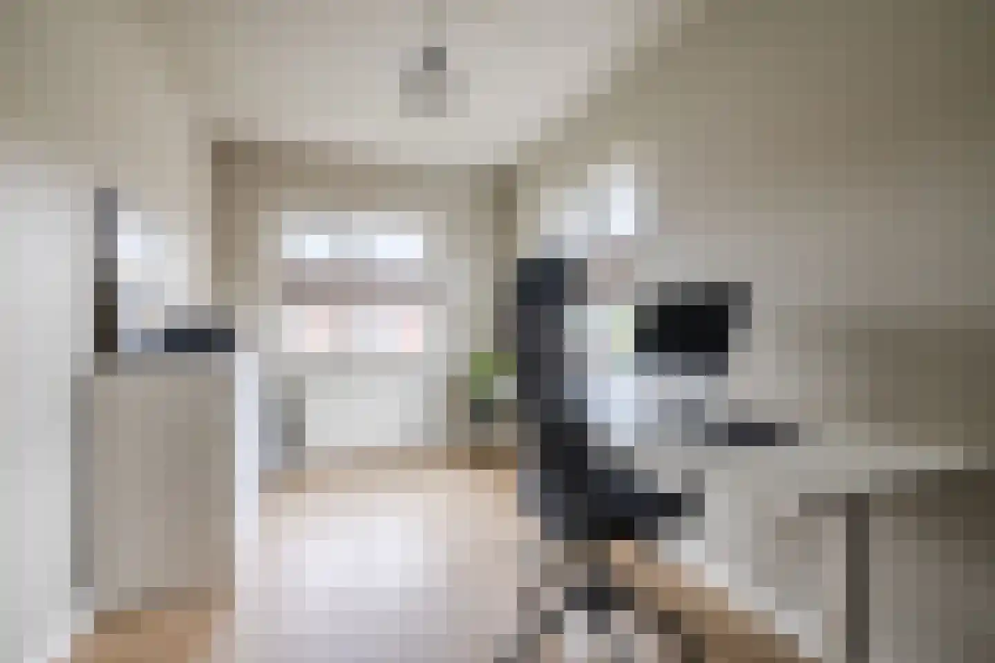 van Alewijkstraat 2 h Beerzerveld thumbnail 24