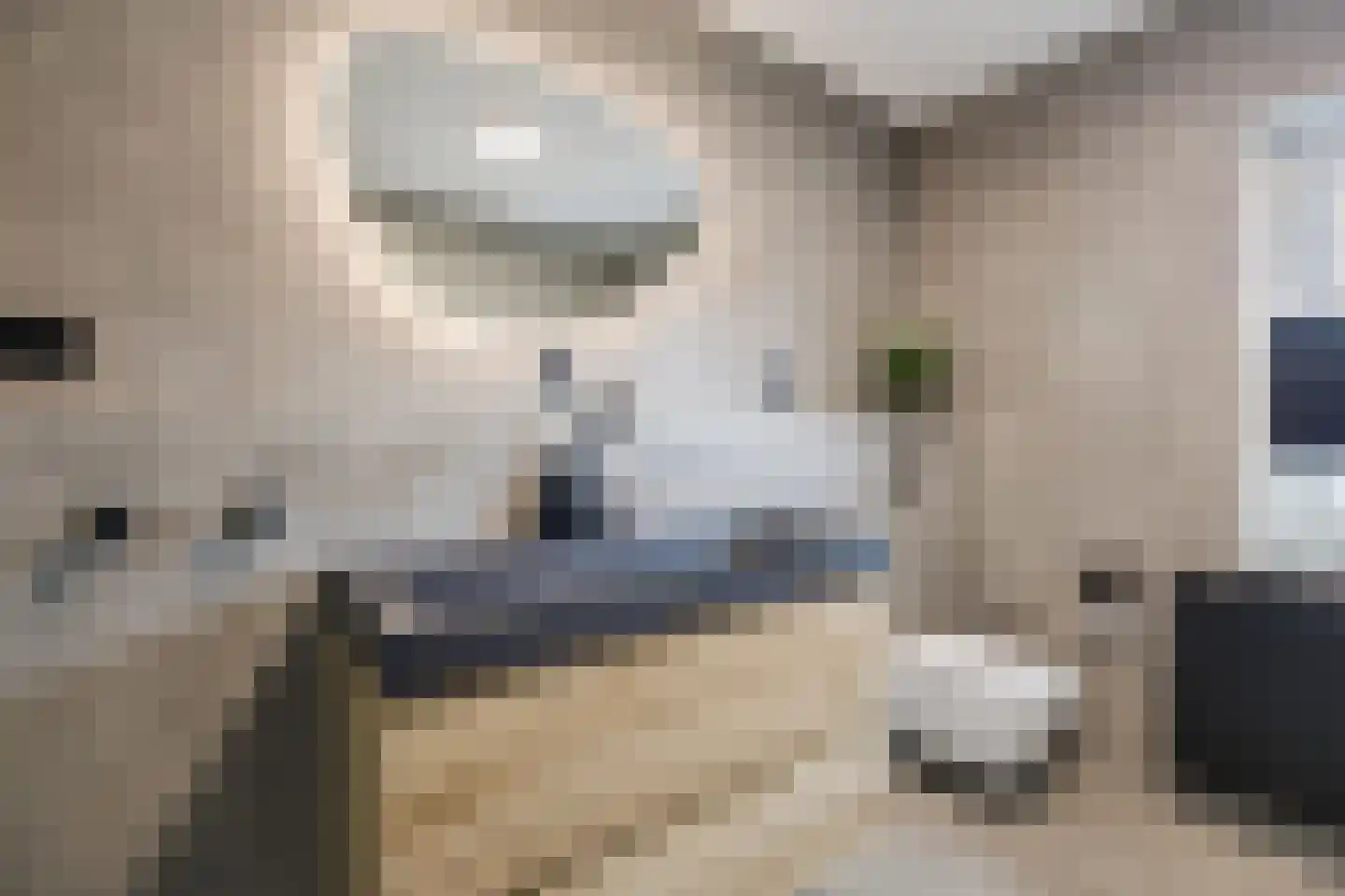 van Alewijkstraat 2 h Beerzerveld thumbnail 26