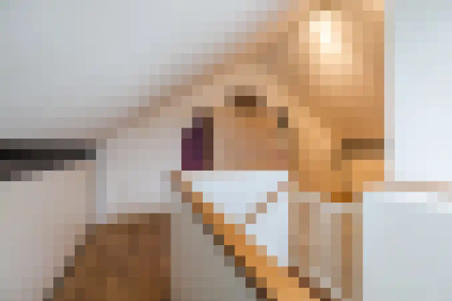 van Alewijkstraat 2 h Beerzerveld thumbnail 34