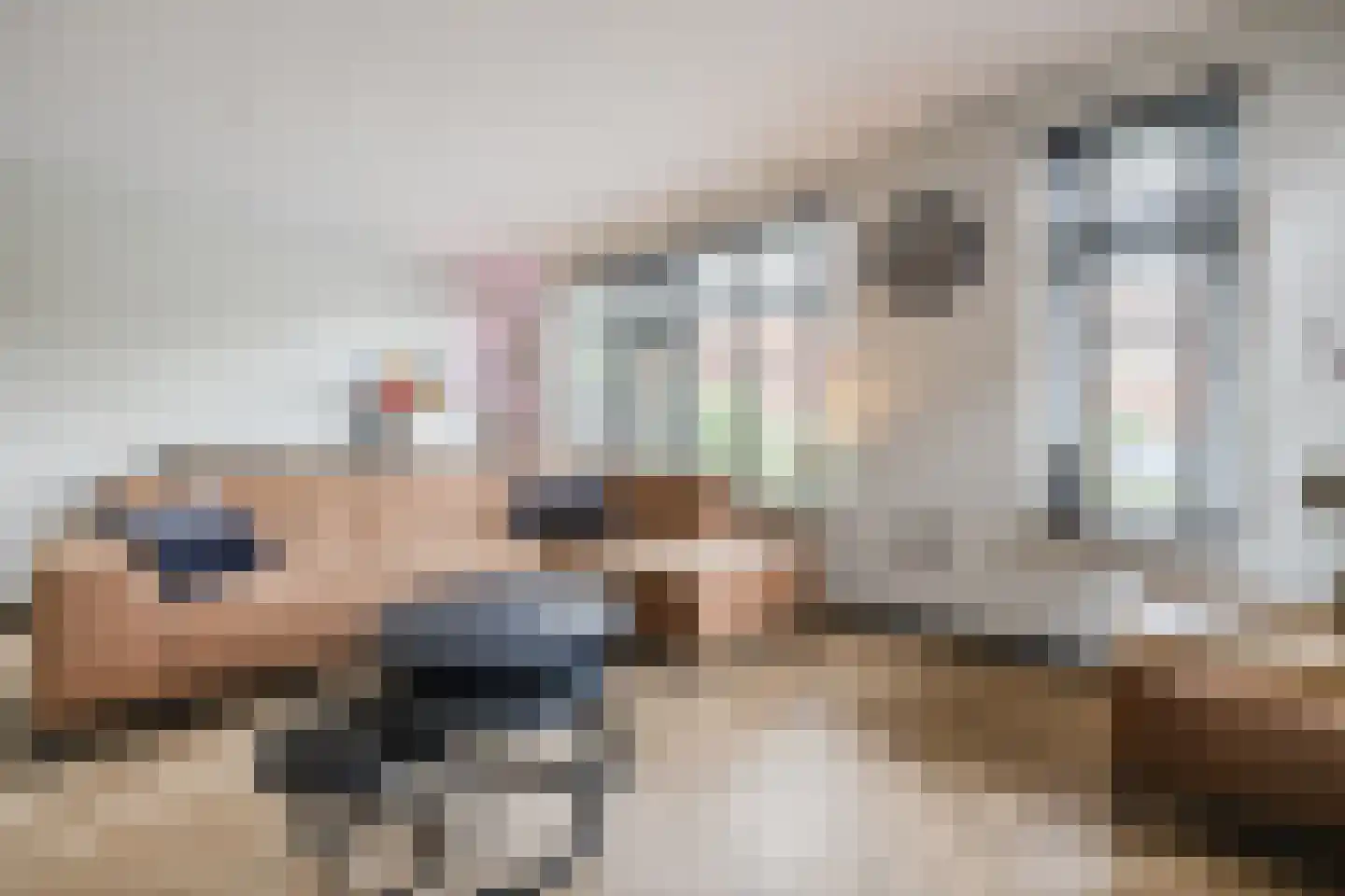 van Alewijkstraat 2 h Beerzerveld thumbnail 4