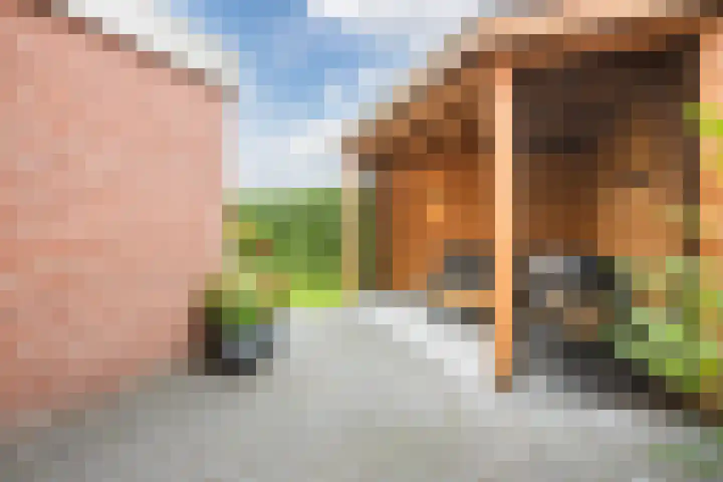 van Alewijkstraat 2 h Beerzerveld thumbnail 42