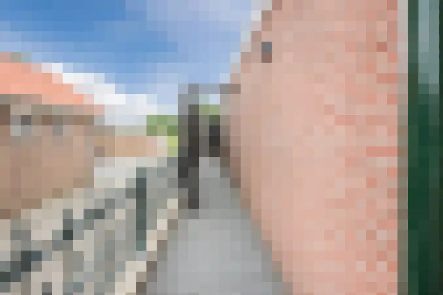 van Alewijkstraat 2 h Beerzerveld thumbnail 47
