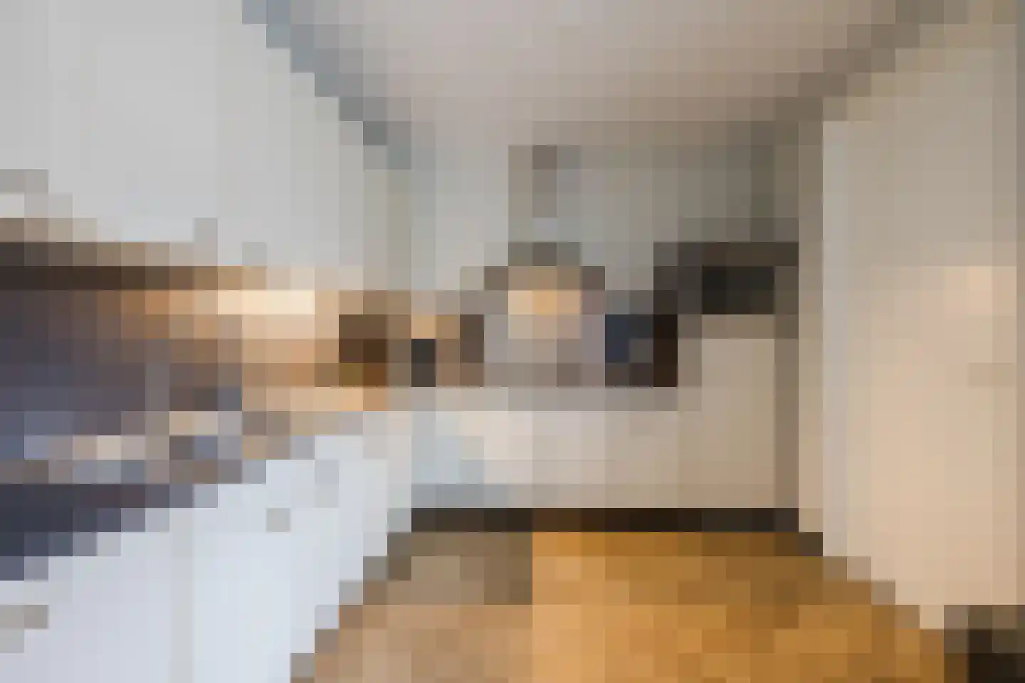 van Alewijkstraat 2 h Beerzerveld thumbnail 7