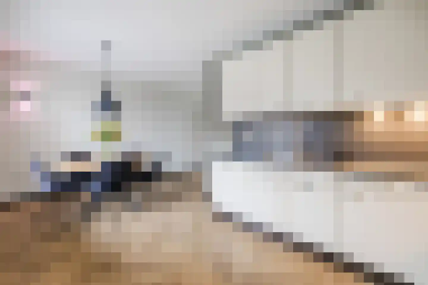 van Alewijkstraat 2 h Beerzerveld thumbnail 8