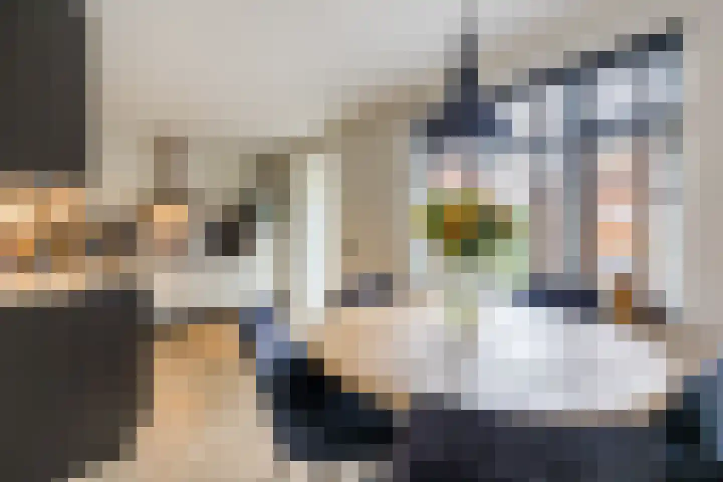 van Alewijkstraat 2 h Beerzerveld thumbnail 9