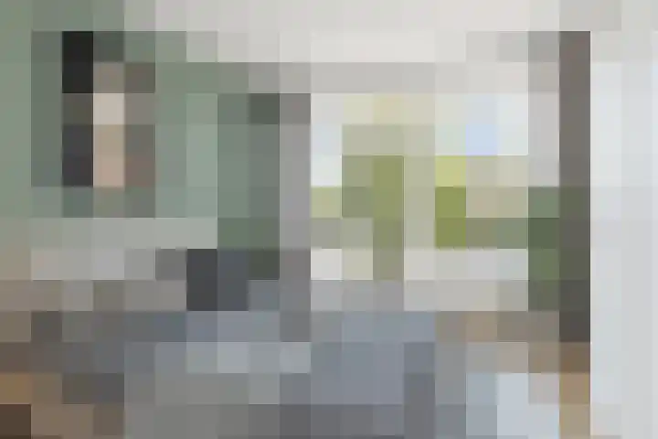 Van Alkemadehof 29 Rotterdam thumbnail 12