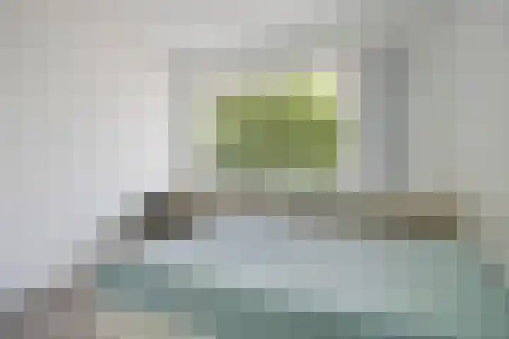 Van Alkemadehof 29 Rotterdam thumbnail 17