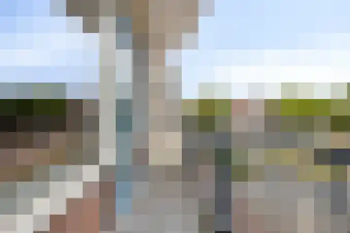 Van Alkemadehof 29 Rotterdam thumbnail 19