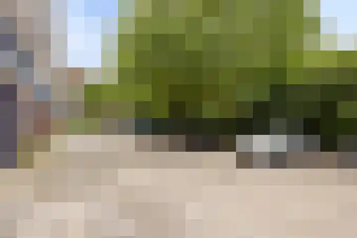 Van Alkemadehof 29 Rotterdam thumbnail 21