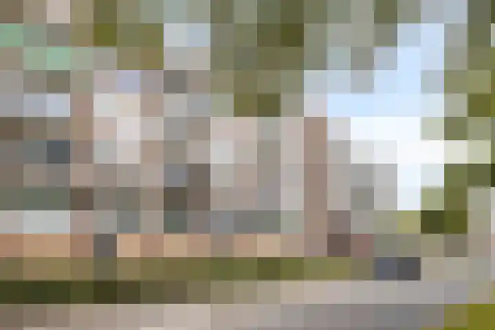 Van Alkemadehof 29 Rotterdam thumbnail 22