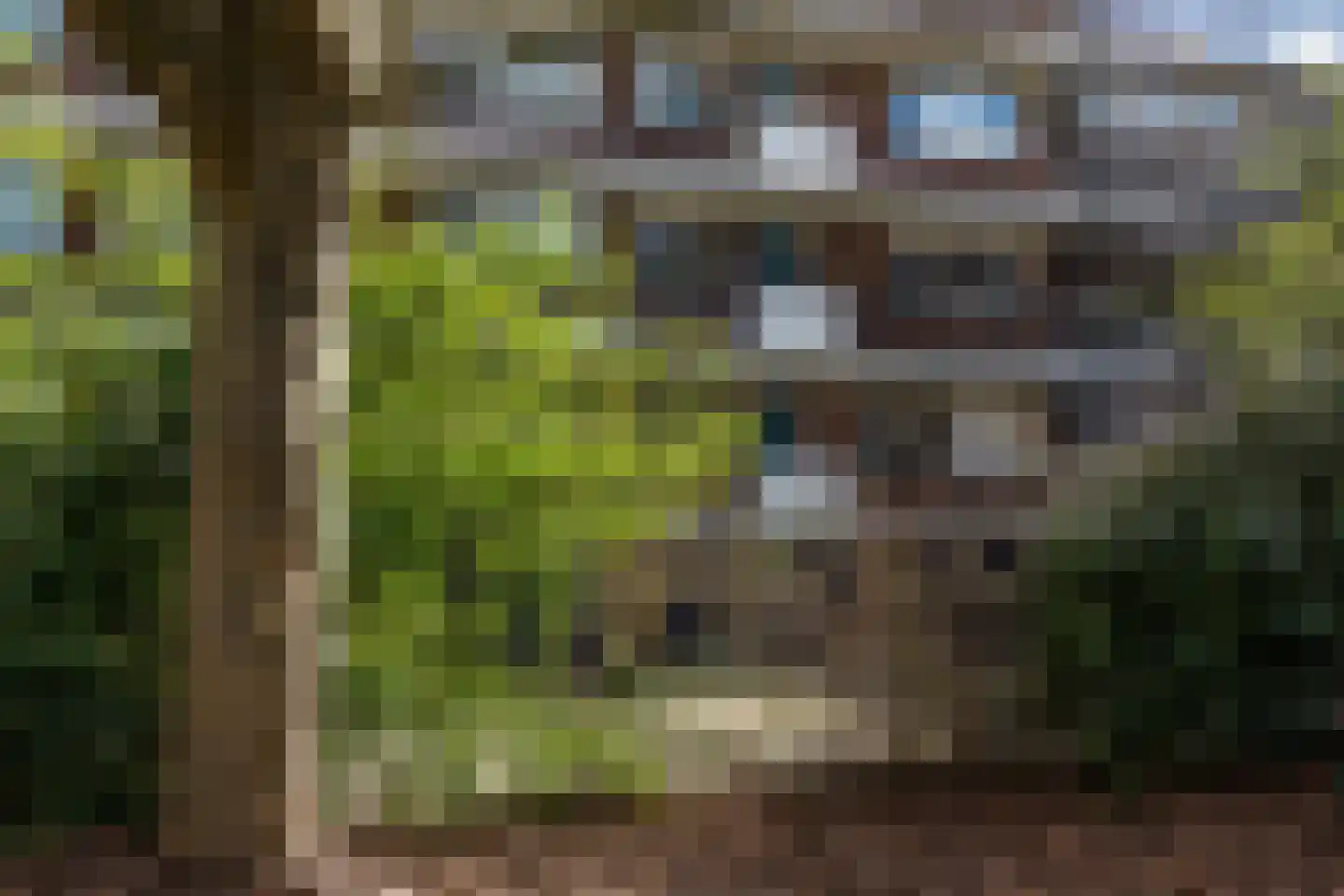 Van Alkemadehof 39 Rotterdam thumbnail 30