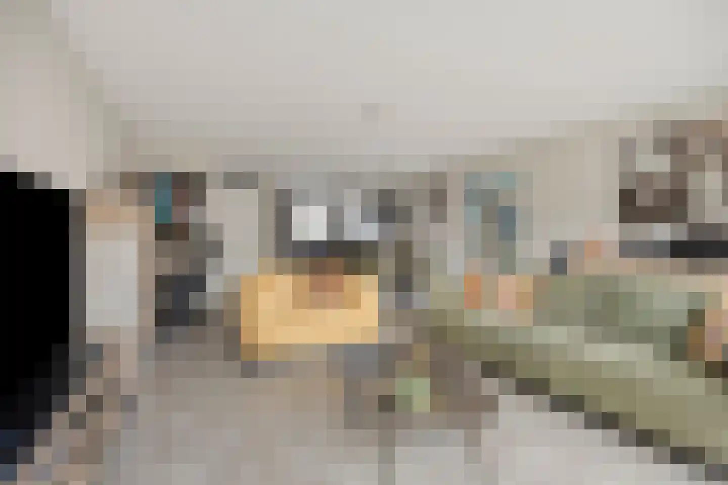 Van Alkemadehof 50 Zoetermeer thumbnail 10