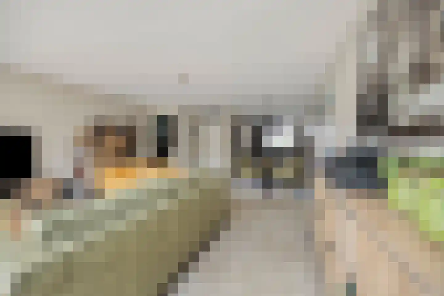 Van Alkemadehof 50 Zoetermeer thumbnail 11