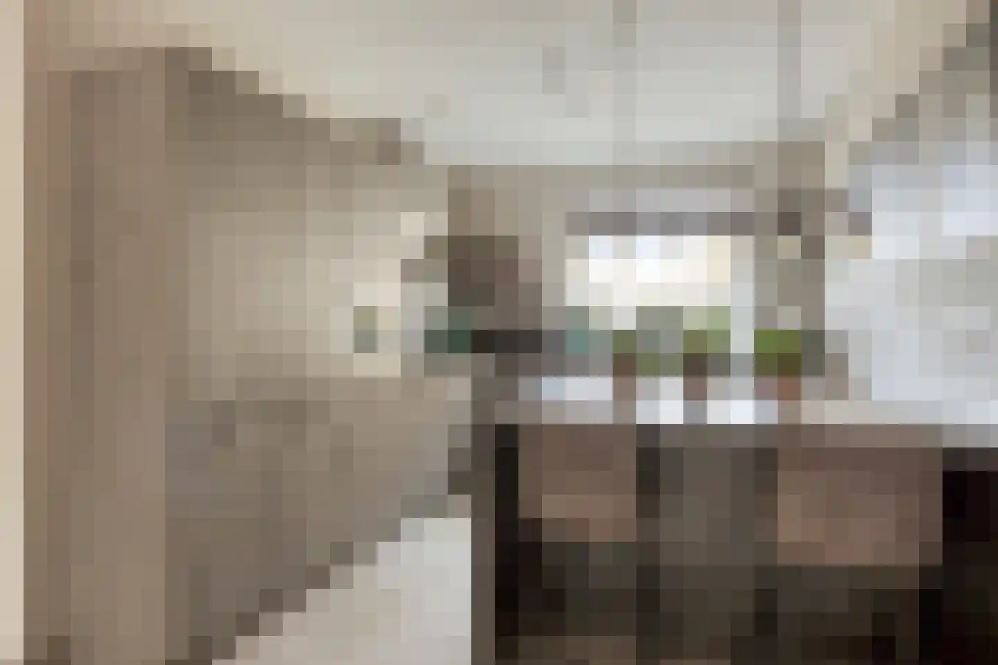 Van Alkemadehof 50 Zoetermeer thumbnail 14