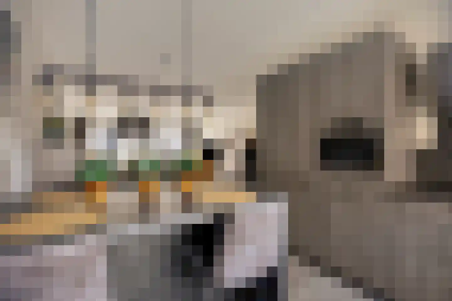 Van Alkemadehof 50 Zoetermeer thumbnail 16