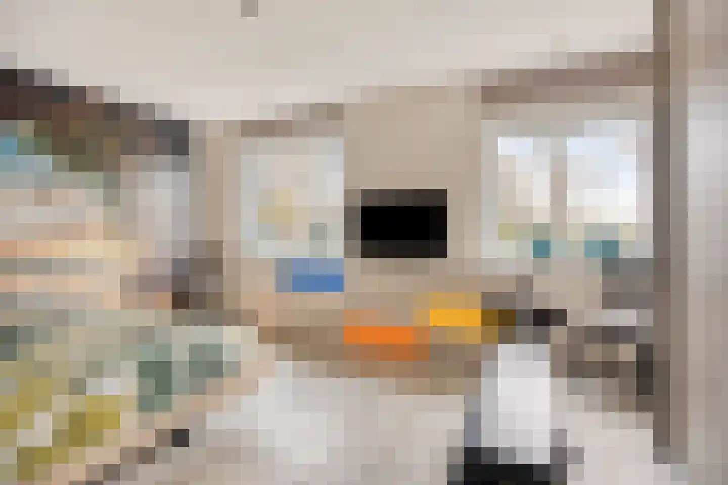 Van Alkemadehof 50 Zoetermeer thumbnail 19