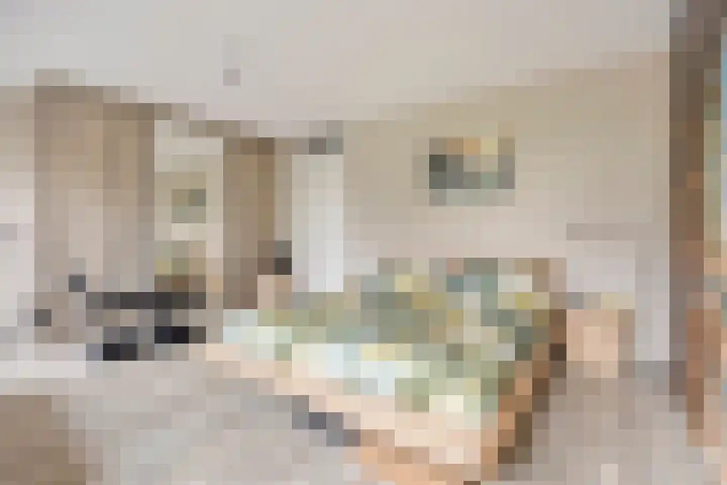 Van Alkemadehof 50 Zoetermeer thumbnail 20