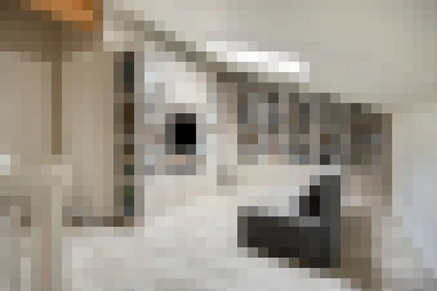 Van Alkemadehof 50 Zoetermeer thumbnail 27