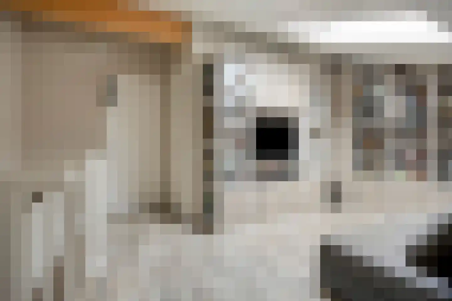 Van Alkemadehof 50 Zoetermeer thumbnail 28