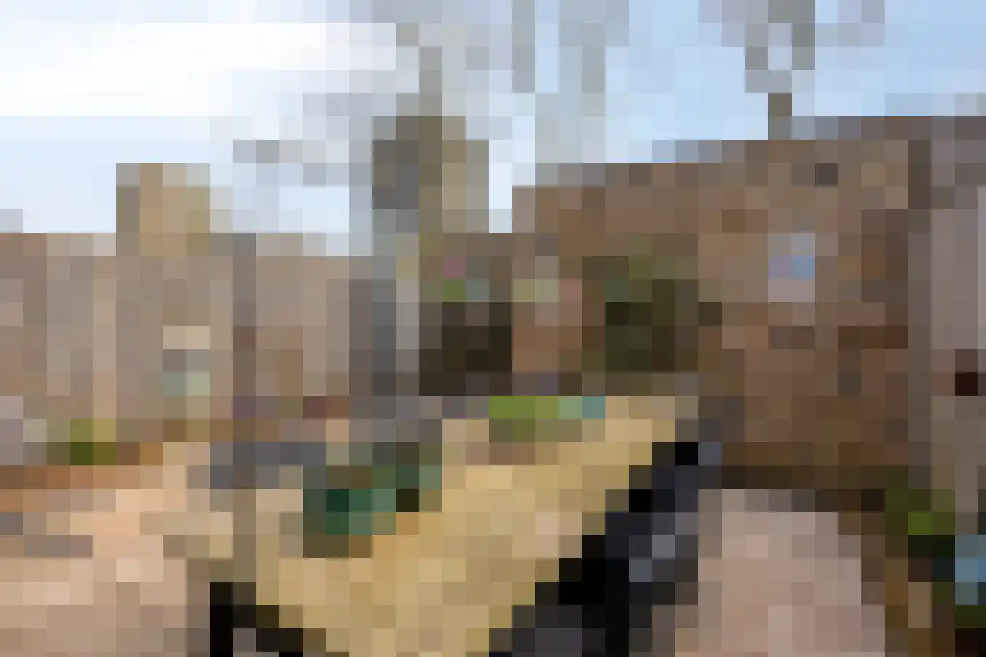 Van Alkemadehof 50 Zoetermeer thumbnail 33