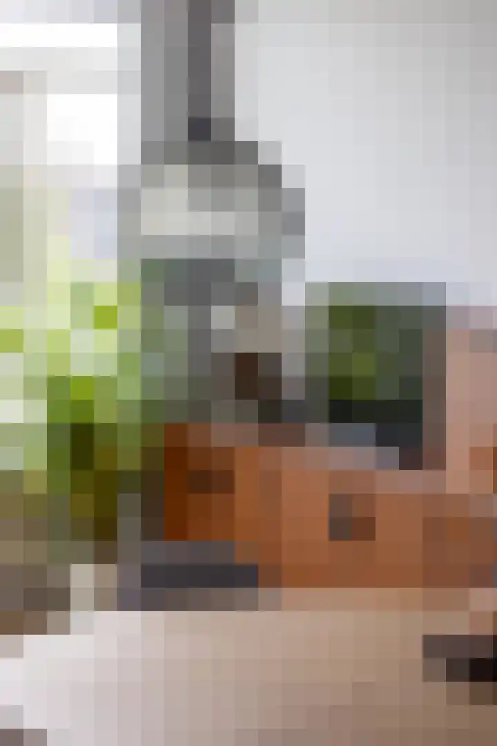 Van Alkemadehof 59 Rotterdam thumbnail 10